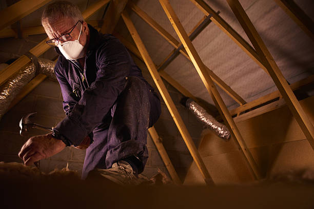 Best Insulation Installation Services in Lake Marcel Stillter, WA